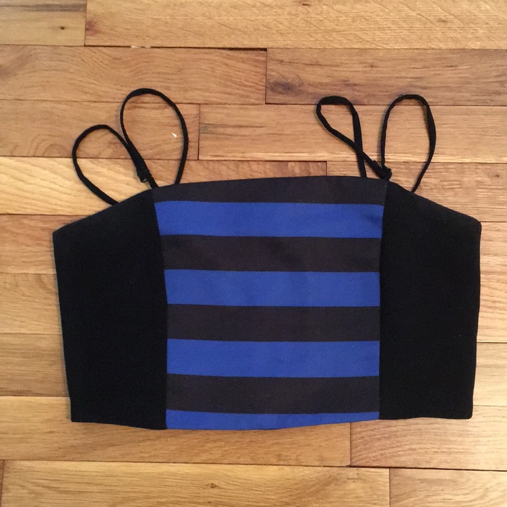 Endless Rose Crop top